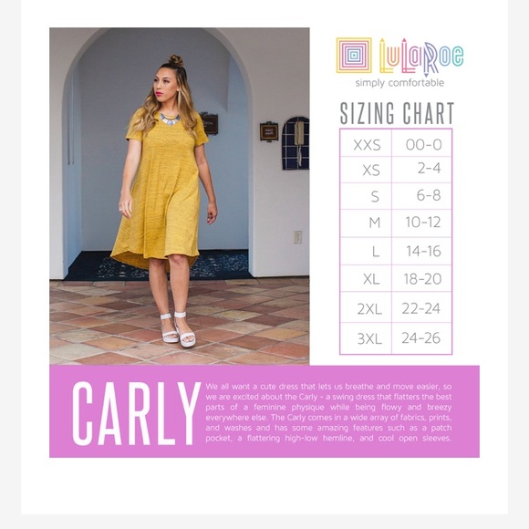 NWT LuLaRoe Small Carly Dress blue white 0832 - Picture 8 of 8